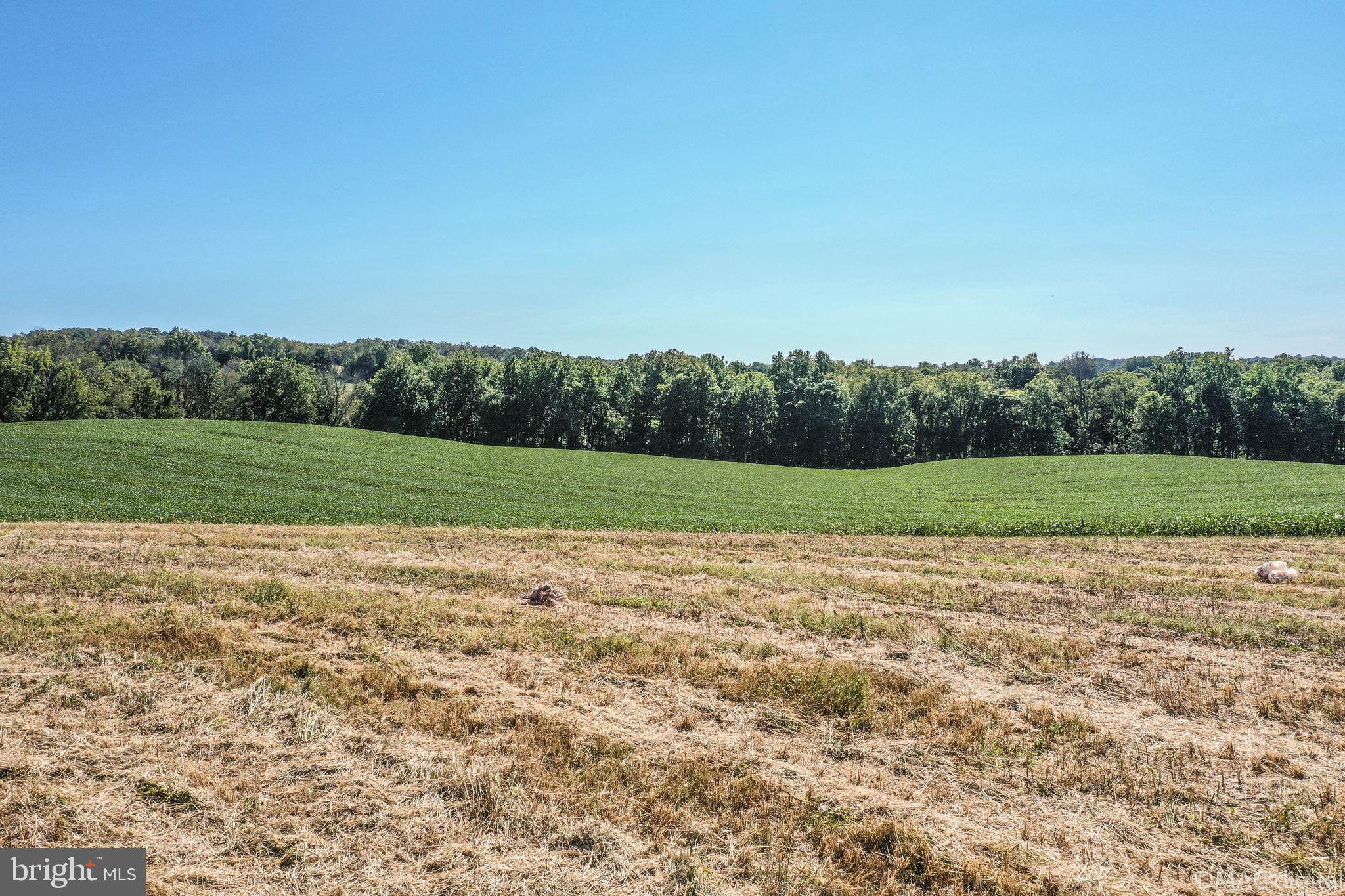 27000 Purdum Road Damascus, MD 20872 - Photo 13 of 51 Gallery Image 13