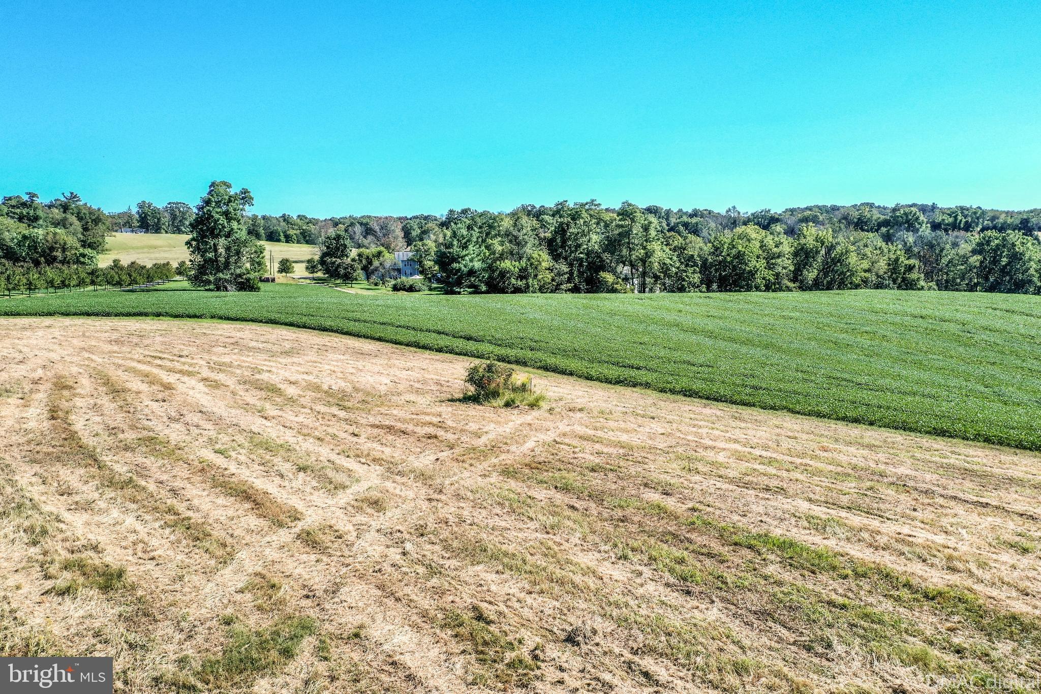 27000 Purdum Road Damascus, MD 20872 - Photo 22 of 51 Gallery Image 22