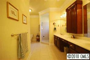 710 Beechnut Court Fort Mill, SC 29708 - Photo 7 of 8 a bathroom with a sink a toilet and shower
