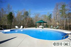 710 Beechnut Court Fort Mill, SC 29708 - Photo 8 of 8 a view of a swimming pool with an outdoor seating