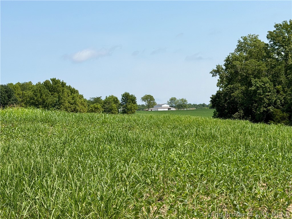2969 West Walnut Ridge Road Salem, IN 47167 - Photo 86 of 95 Gallery Image 86