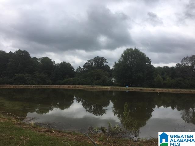 6777 Loveless Park Loop Bessemer, AL 35022 - Photo 11 of 25