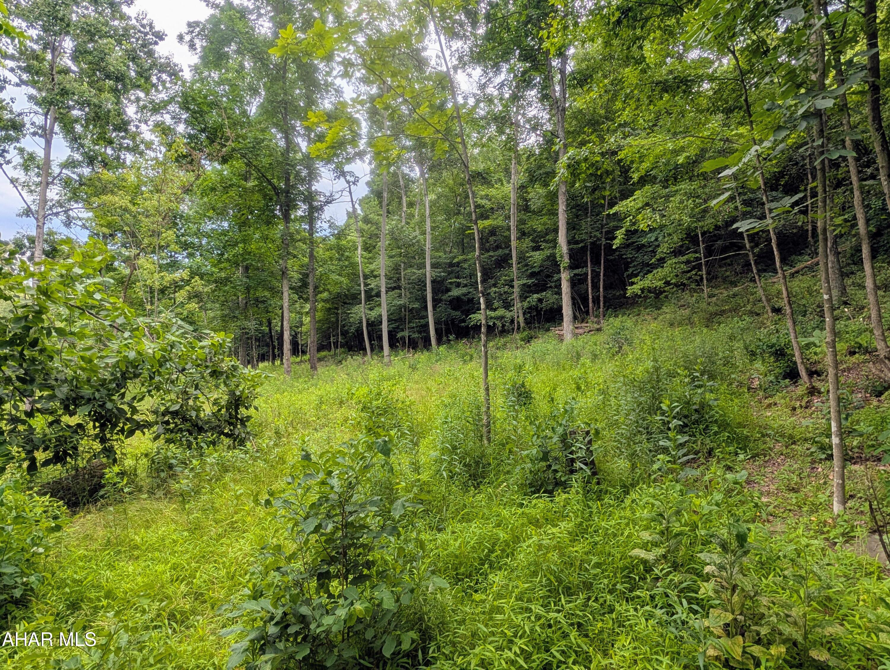 587 Point Road Bedford, PA 15522 - Photo 83 of 92