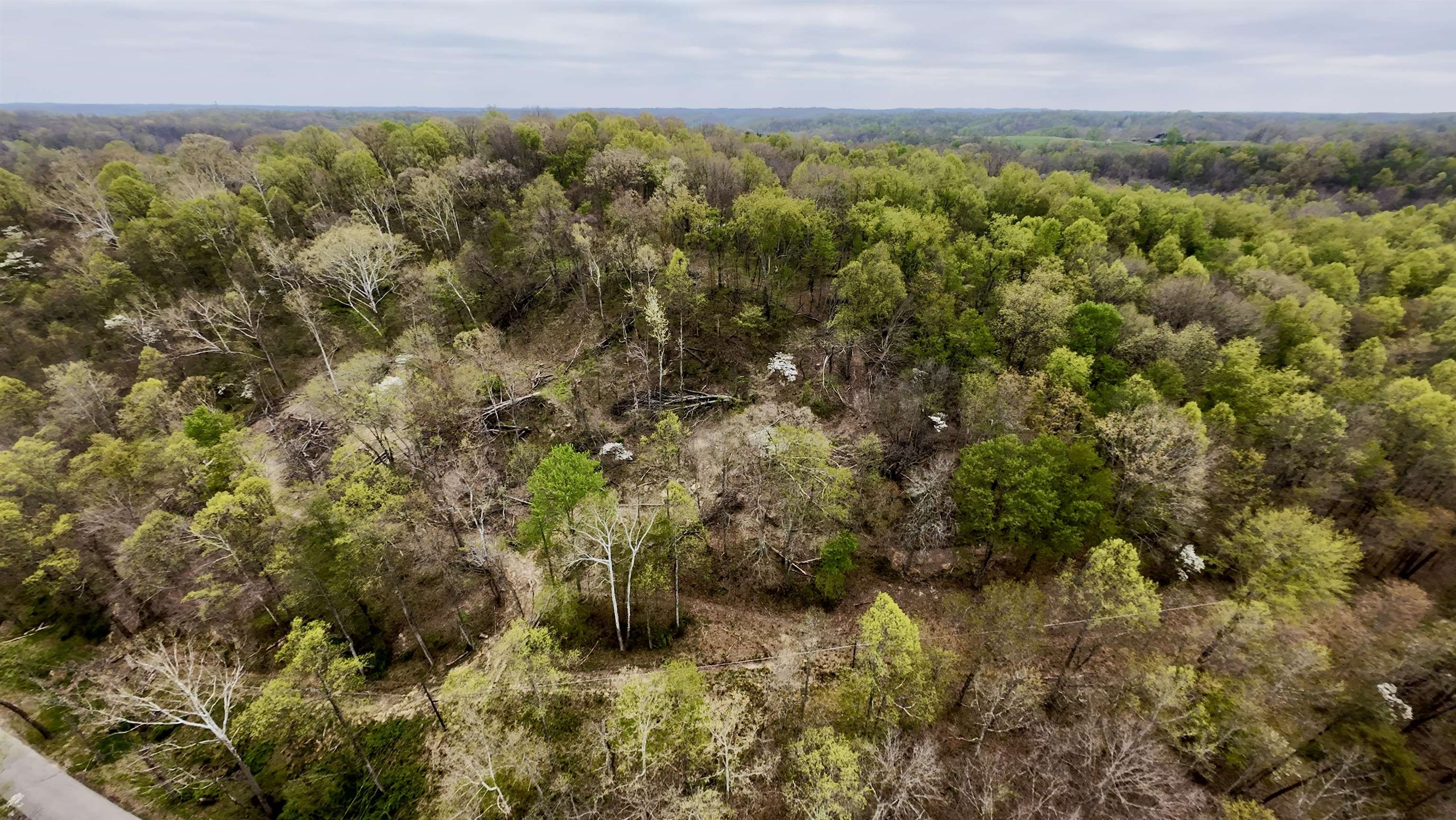 0 East Muddy Branch Road Ashland, KY 41102 - Photo 4 of 5