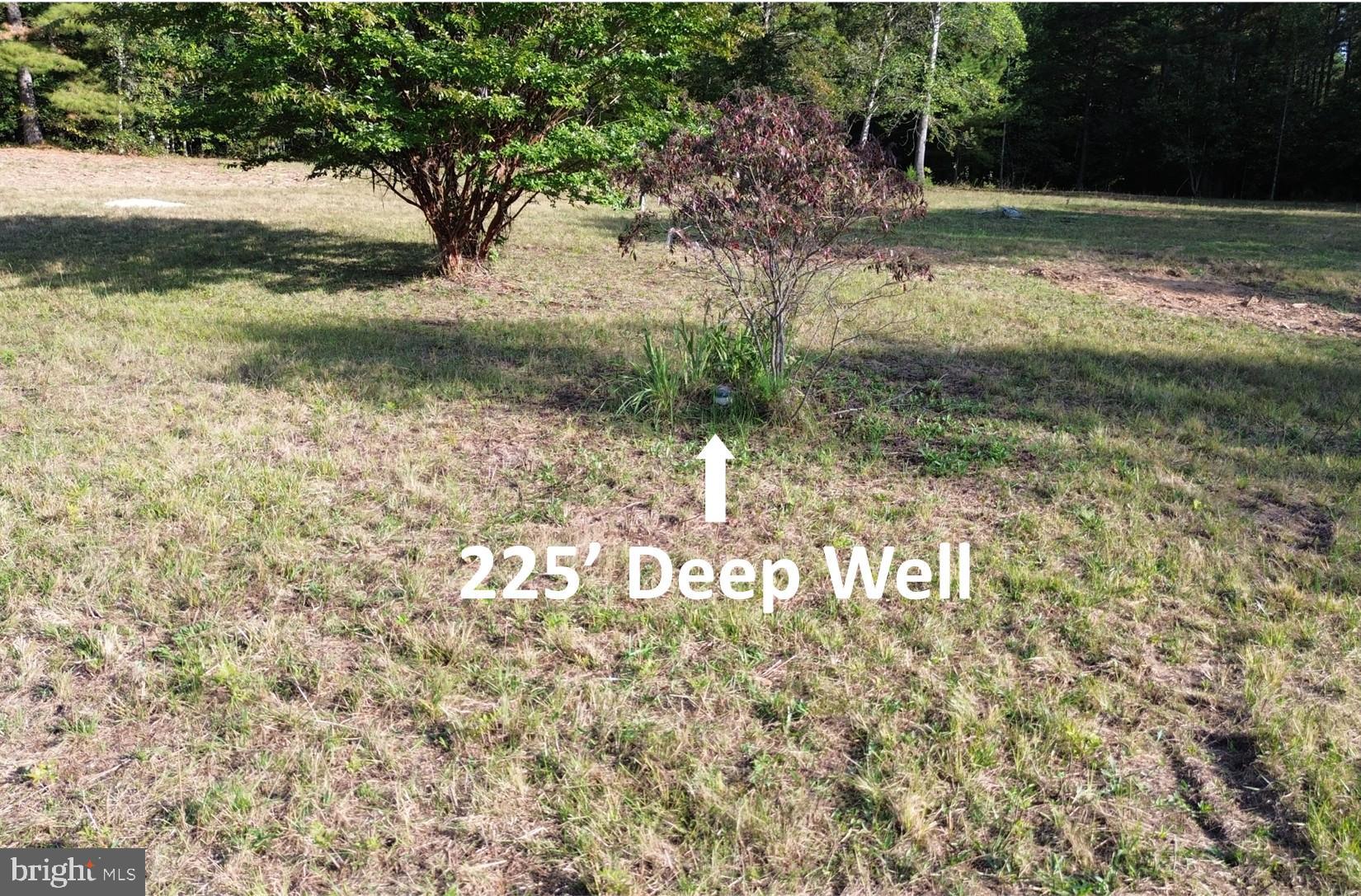 943 White Walnut Road Louisa, VA 23093 - Photo 2 of 12 Expansive land featuring a deep well.
