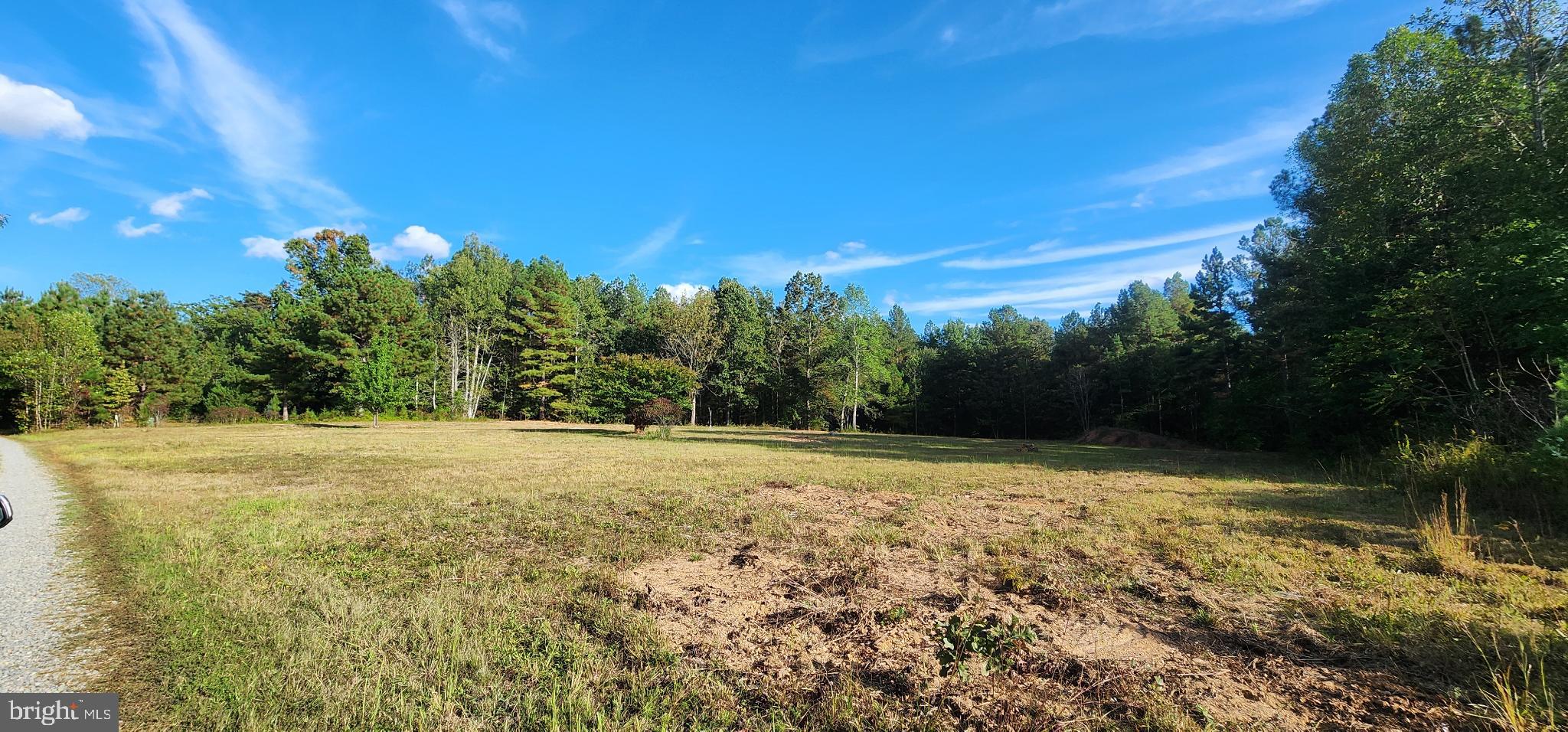 943 White Walnut Road Louisa, VA 23093 - Photo 5 of 12 Serene landscape with lush greenery.
