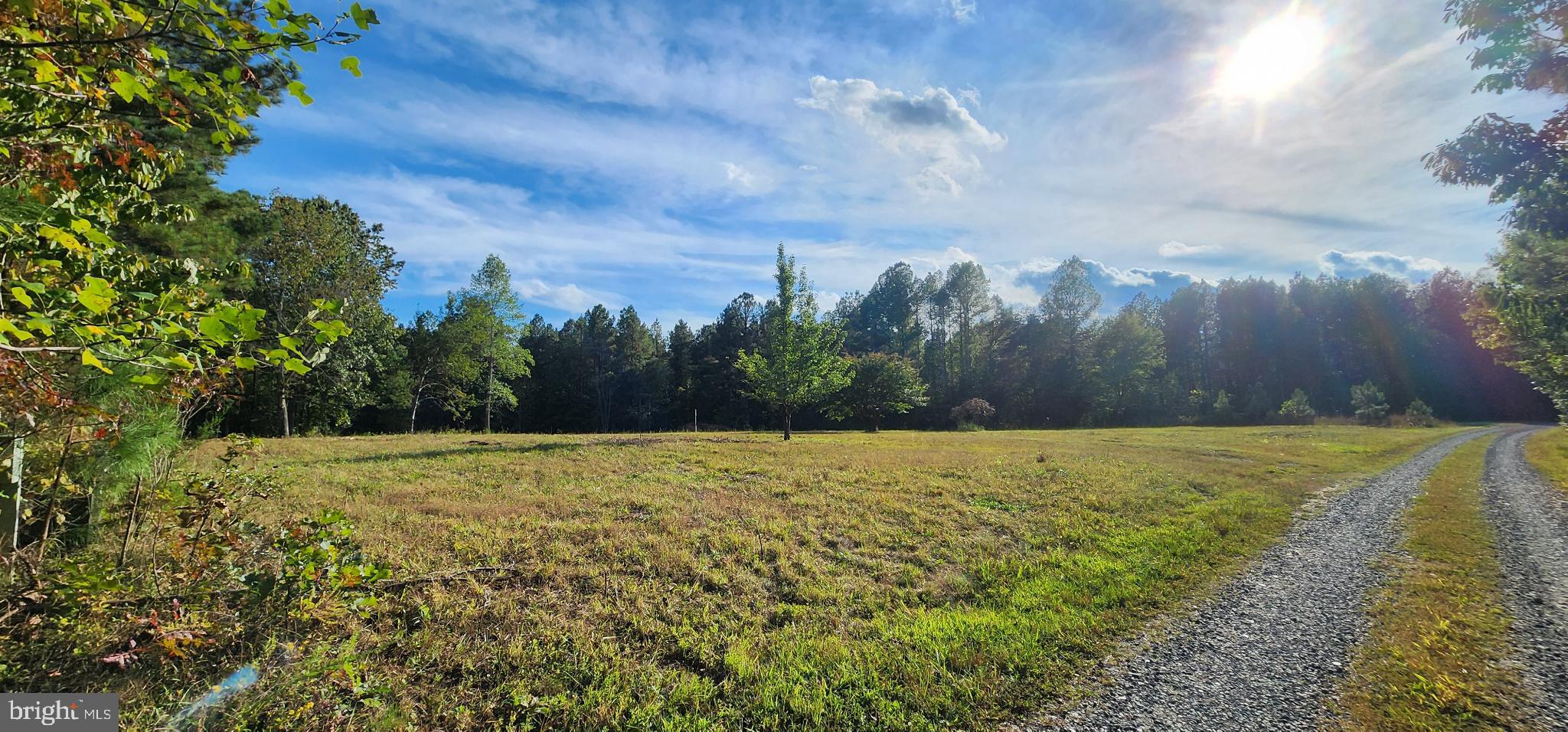 943 White Walnut Road Louisa, VA 23093 - Photo 6 of 12 Serene landscape under a bright blue sky.