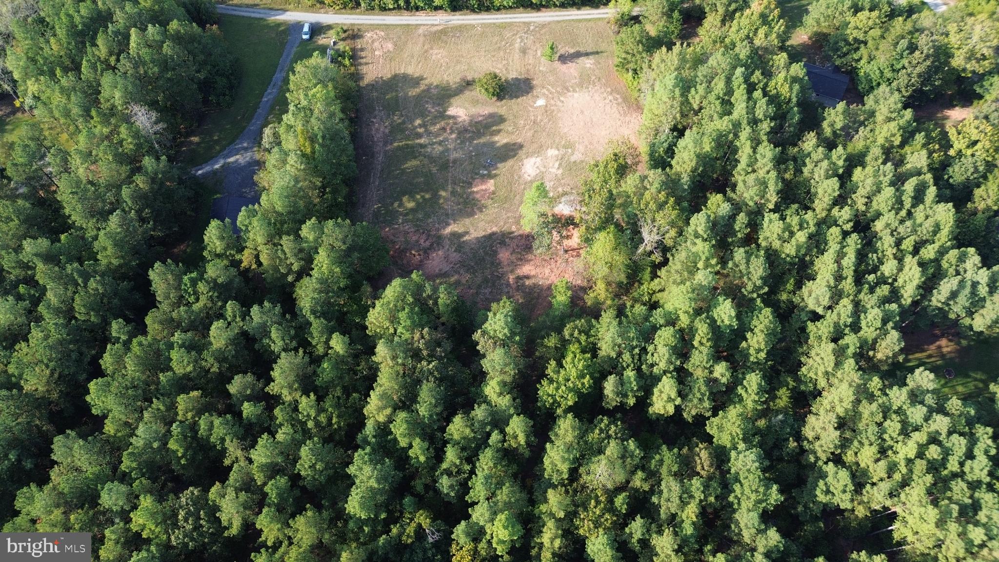 943 White Walnut Road Louisa, VA 23093 - Photo 9 of 12 Cleared land nestled in lush greenery.