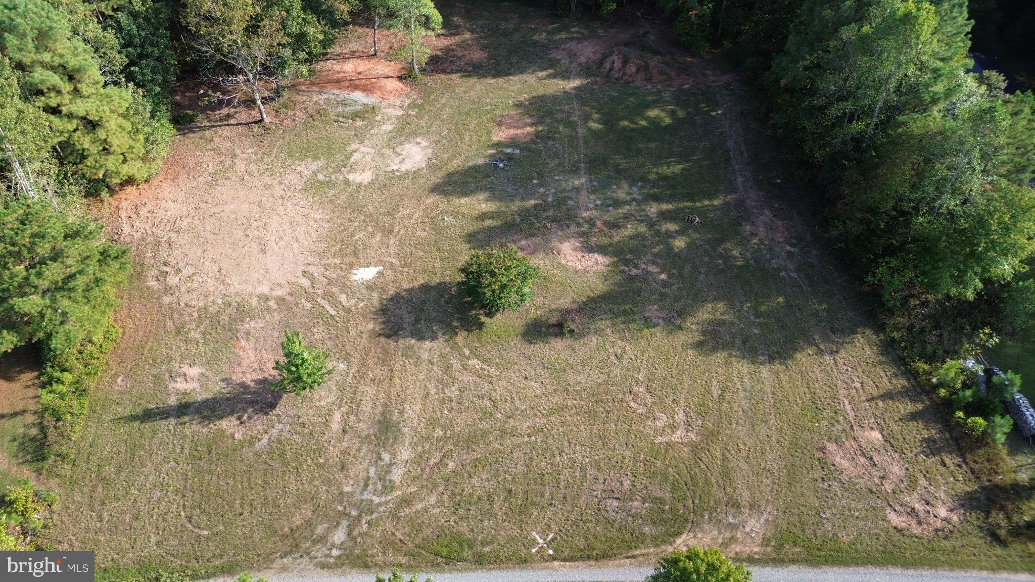 943 White Walnut Road Louisa, VA 23093 - Photo 10 of 12 Spacious lot surrounded by lush greenery.