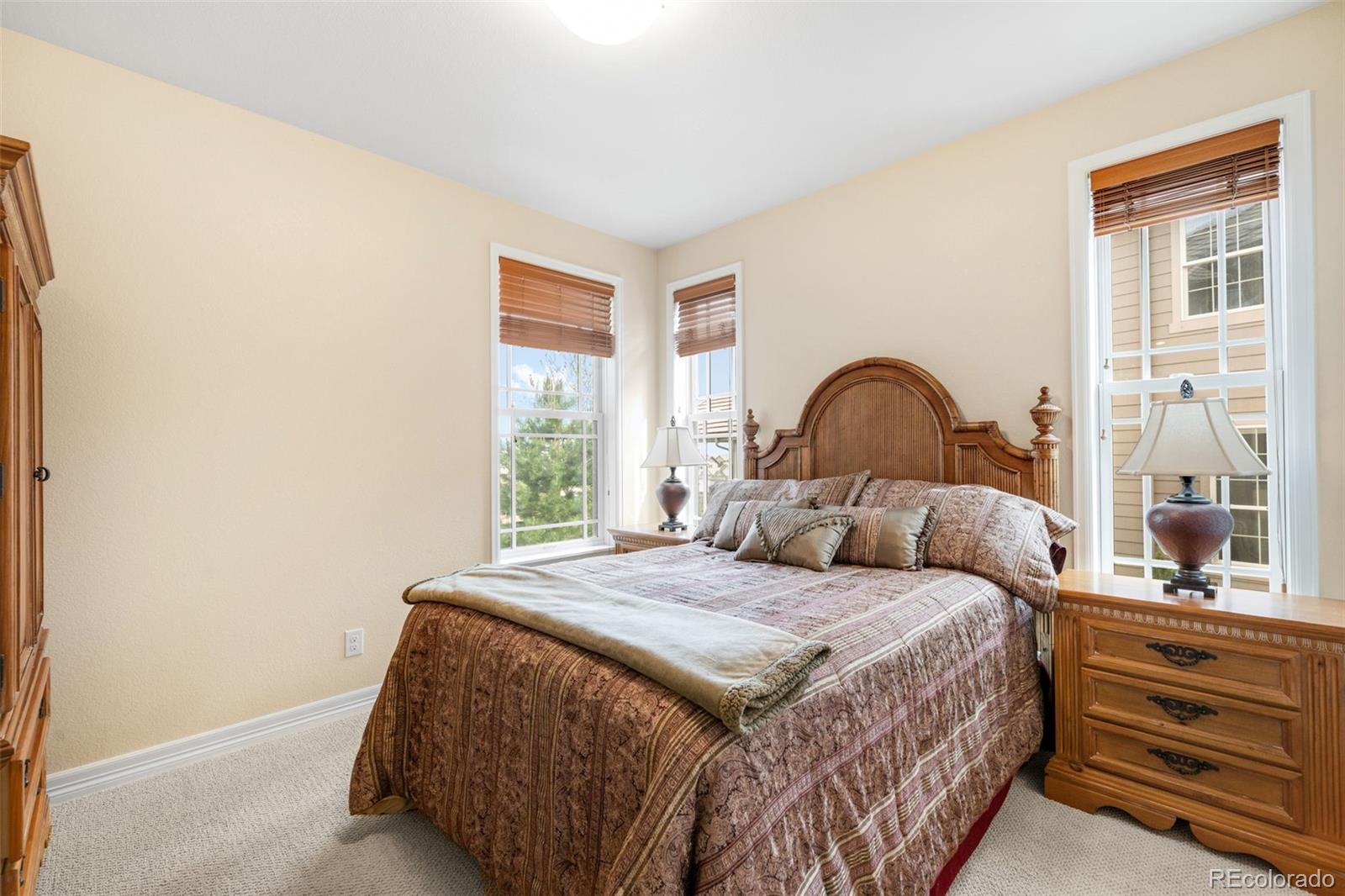 10777 Sundial Rim Road Highlands Ranch, CO 80126 - Photo 18 of 50