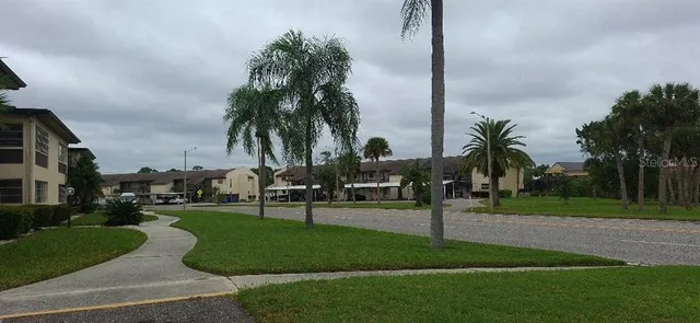 a view of a park with palm trees
