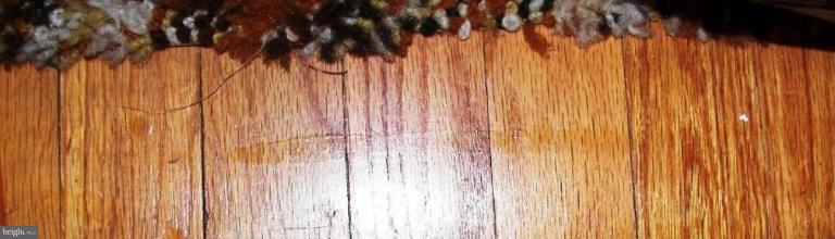 5968 Montgomery Road Elkridge, MD 21075 - Photo 7 of 22 HARDWOODS UNDER CARPET MAIN LEVEL