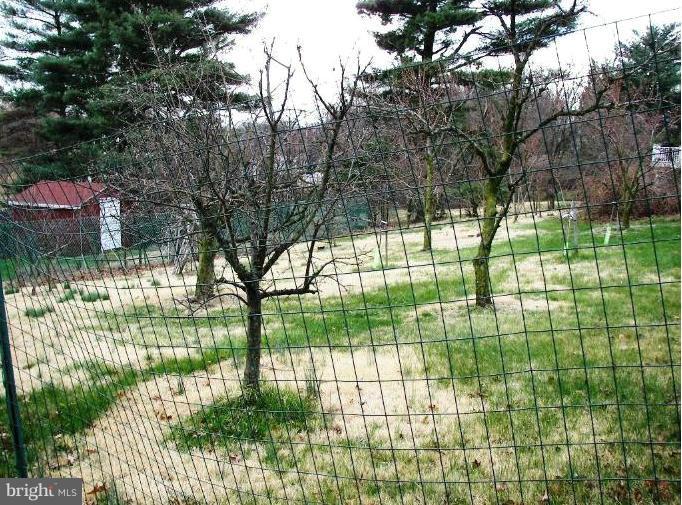 5968 Montgomery Road Elkridge, MD 21075 - Photo 9 of 22 PRIVATE FENCED ORCHARD