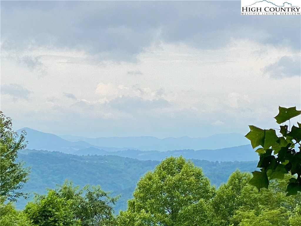 916 Harley Perry Road Zionville, NC 28698 - Photo 3 of 43 Gallery Image 3