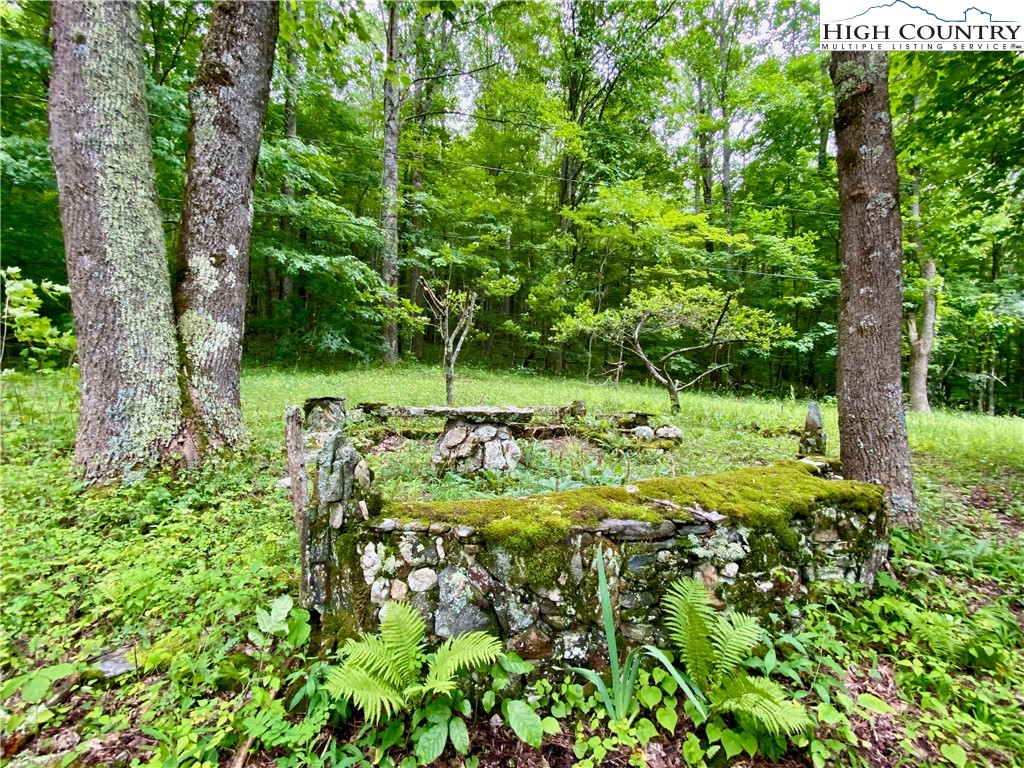 916 Harley Perry Road Zionville, NC 28698 - Photo 31 of 43 Gallery Image 31