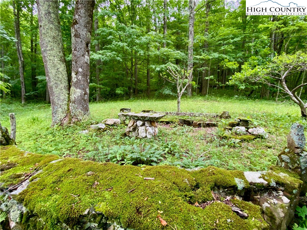 916 Harley Perry Road Zionville, NC 28698 - Photo 32 of 43 Gallery Image 32