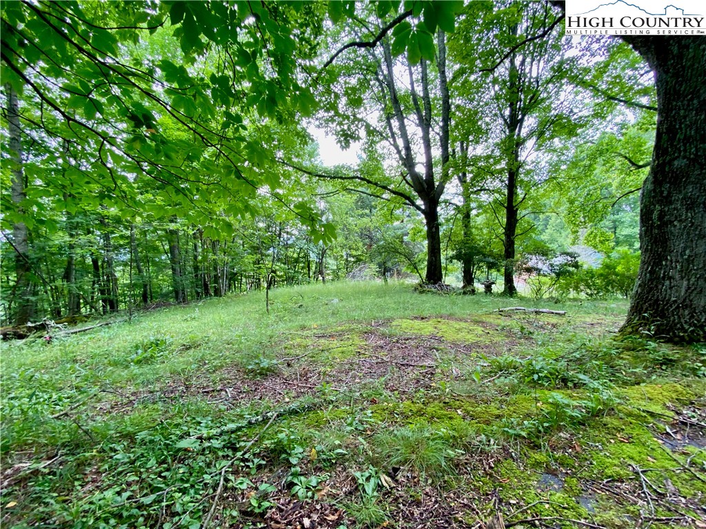 916 Harley Perry Road Zionville, NC 28698 - Photo 33 of 43 Gallery Image 33