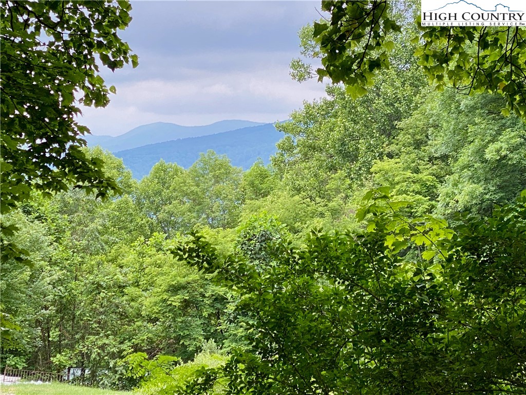 916 Harley Perry Road Zionville, NC 28698 - Photo 35 of 43 Gallery Image 35