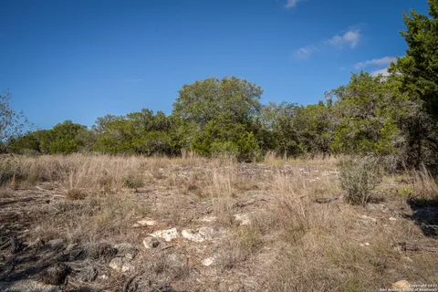 a view of a house with a tree