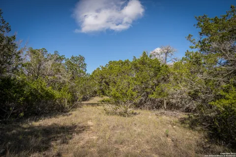 a view of a field of grass and trees