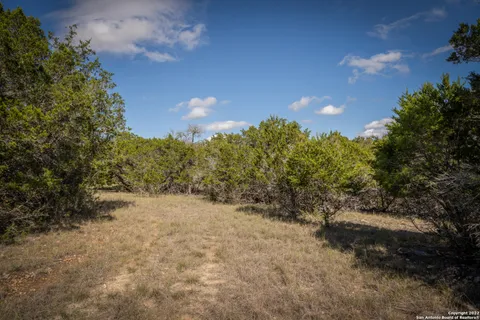 a view of a field with trees in the background