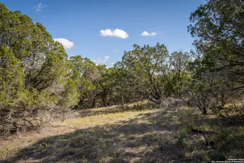 a view of a large yard with lots of green space