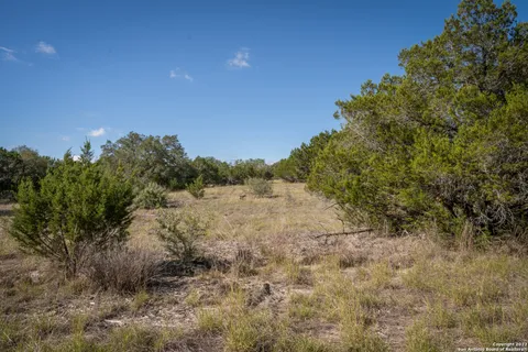 a view of a lake in middle of forest