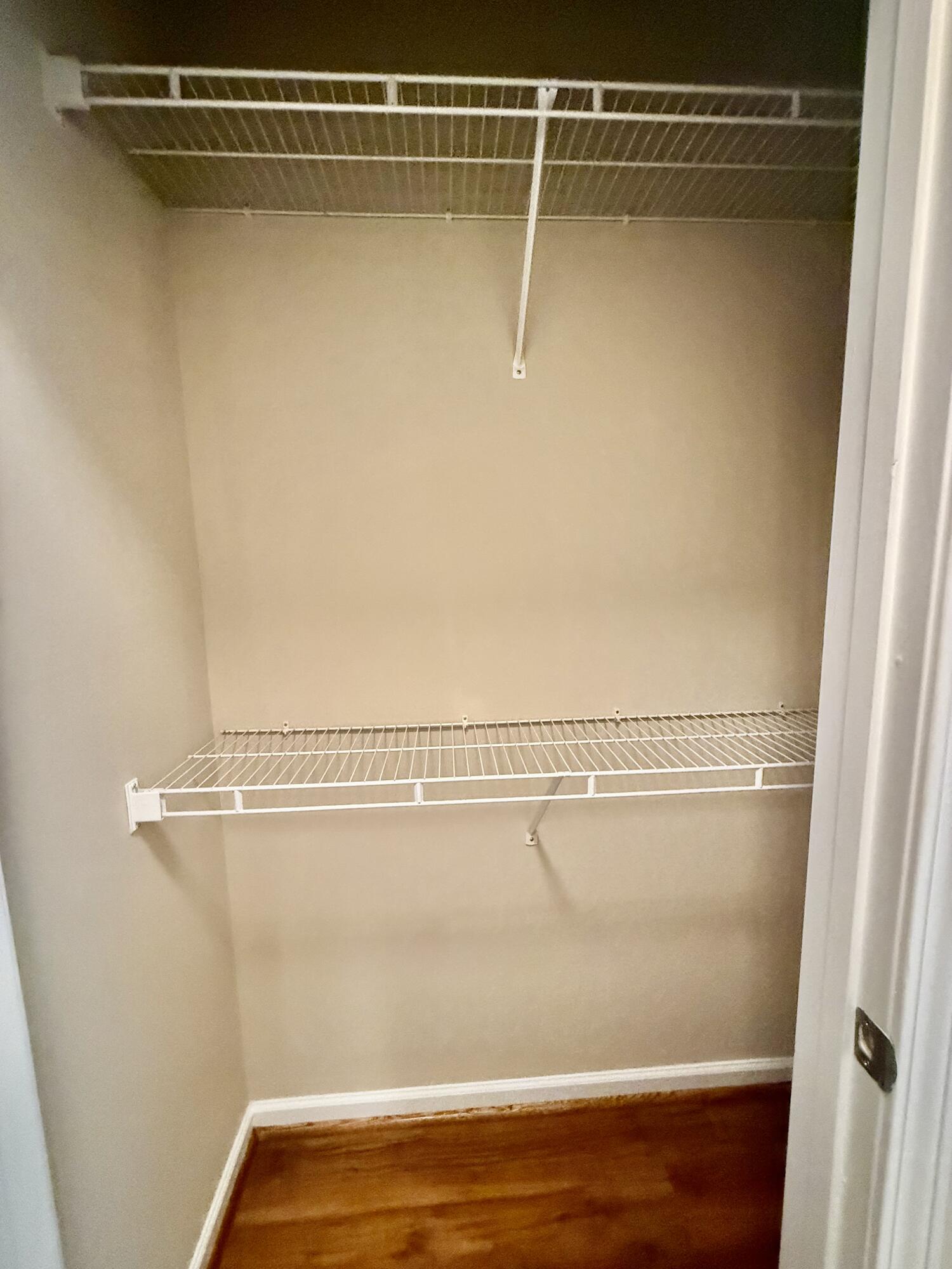 1755 Central Park Road, Unit 6112 Charleston, SC 29412 - Photo 8 of 16 closet 2