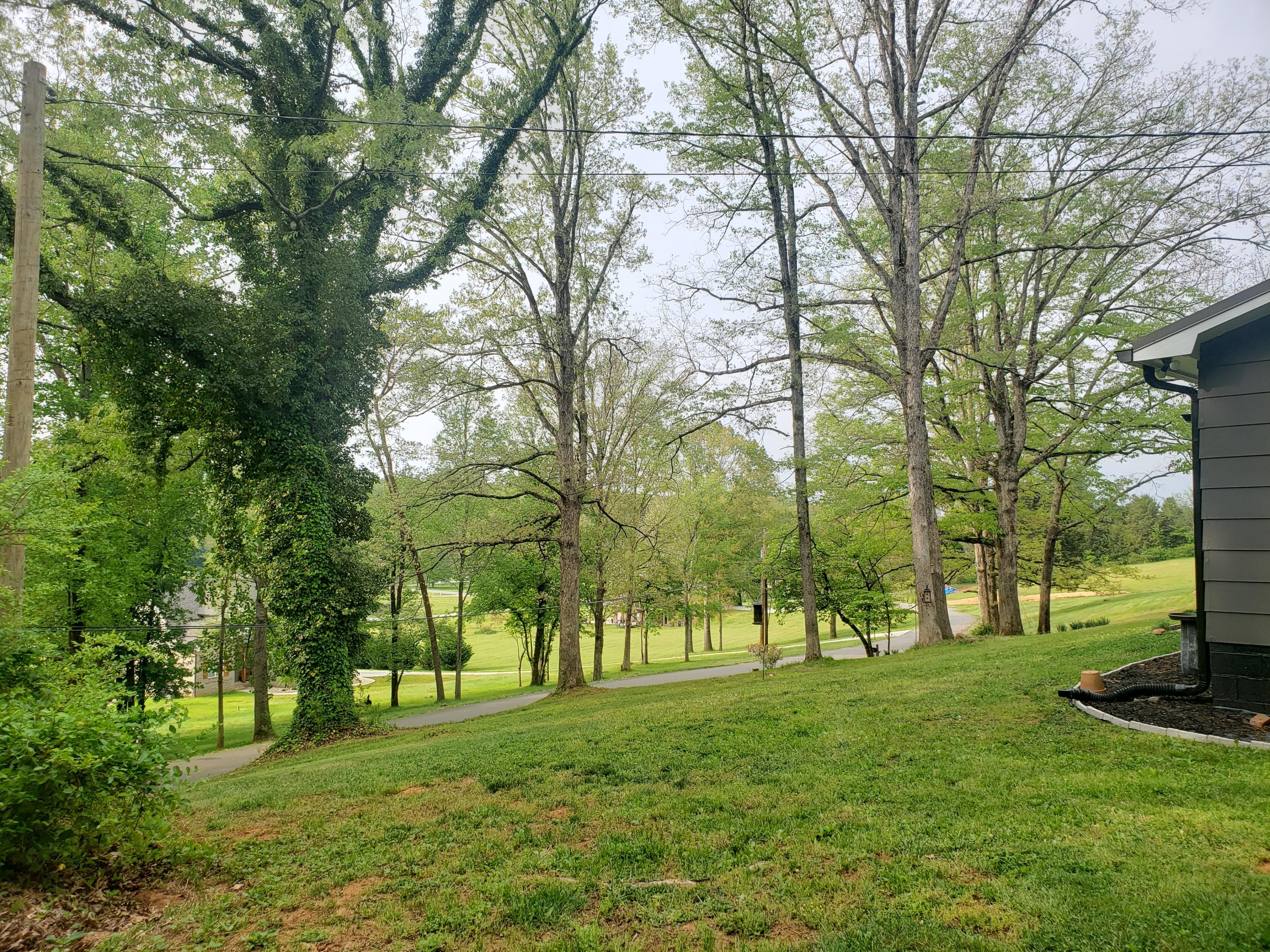 3023 Devault Road Louisville, TN 37777 - Photo 22 of 29 20210429_091325