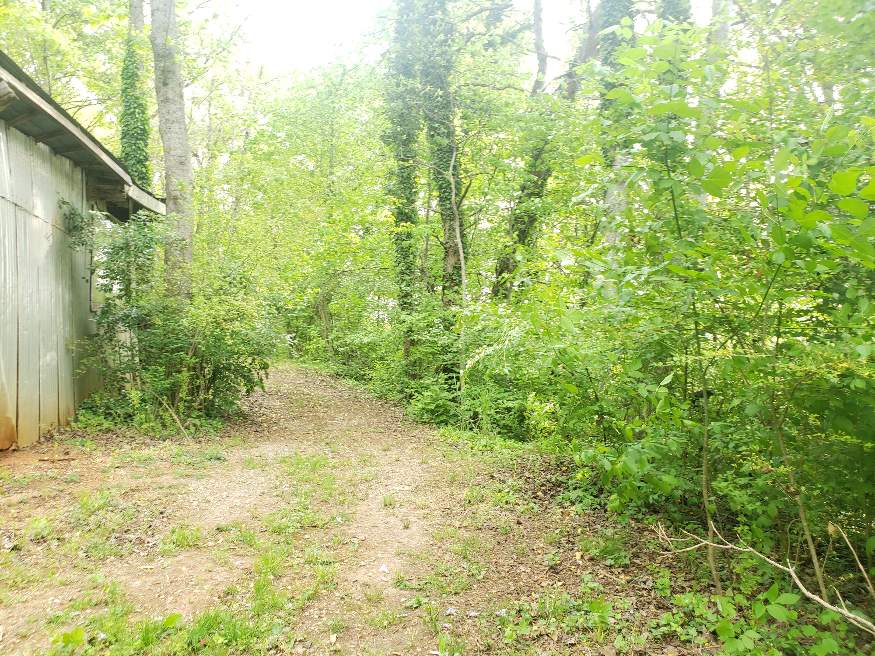 3023 Devault Road Louisville, TN 37777 - Photo 26 of 29 20210429_091509