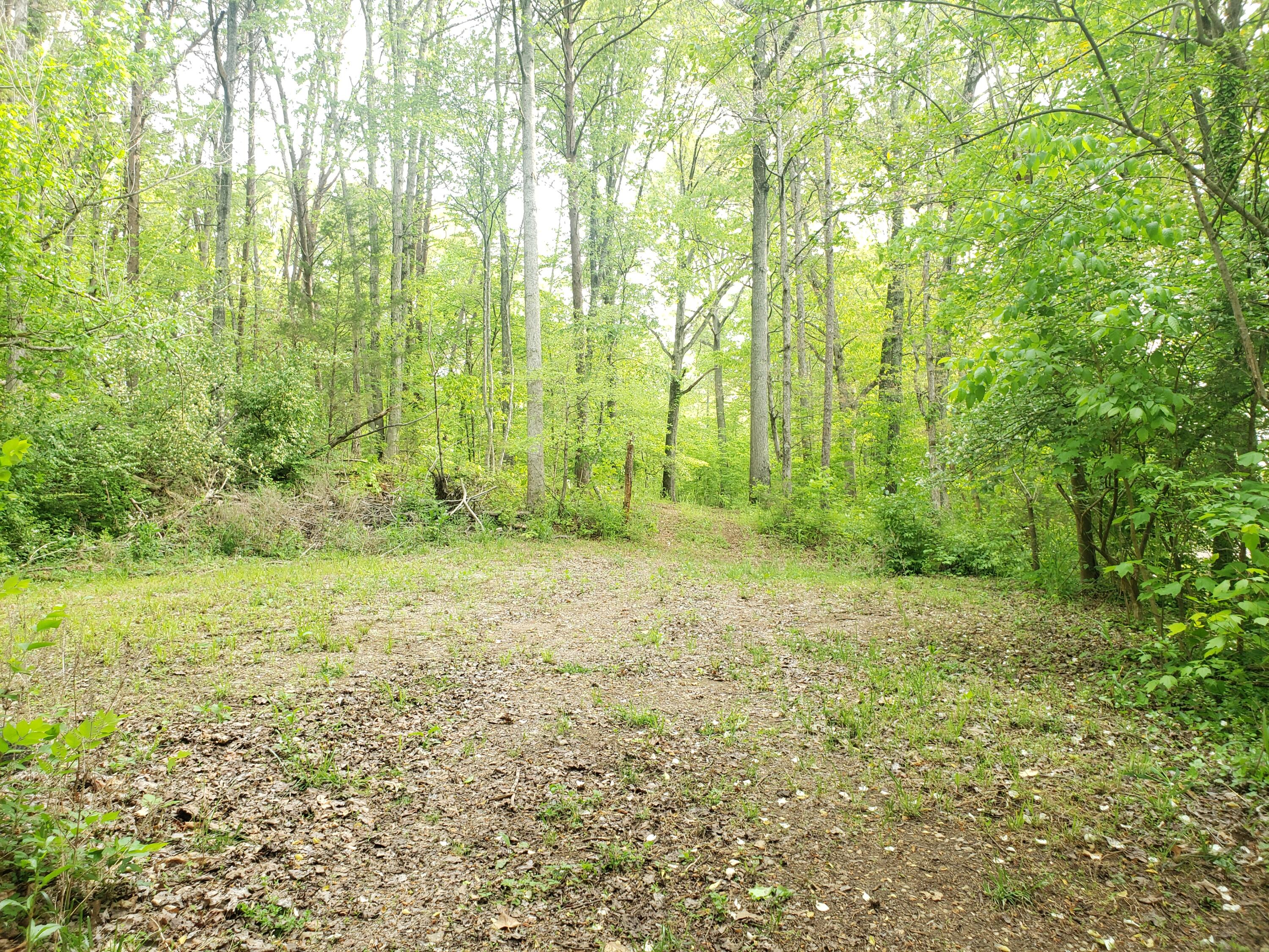 3023 Devault Road Louisville, TN 37777 - Photo 27 of 29 20210429_091526