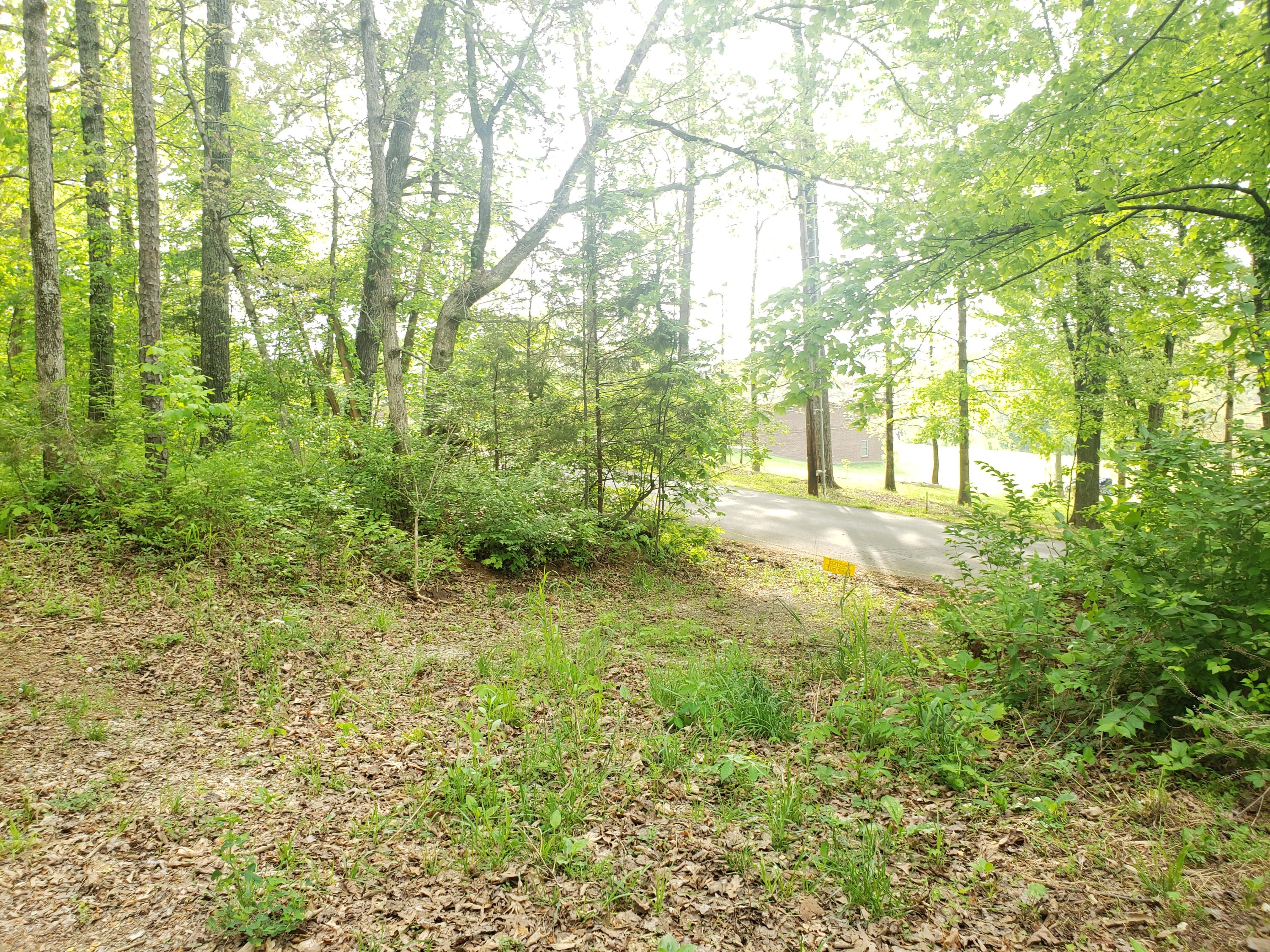 3023 Devault Road Louisville, TN 37777 - Photo 28 of 29 20210429_091547