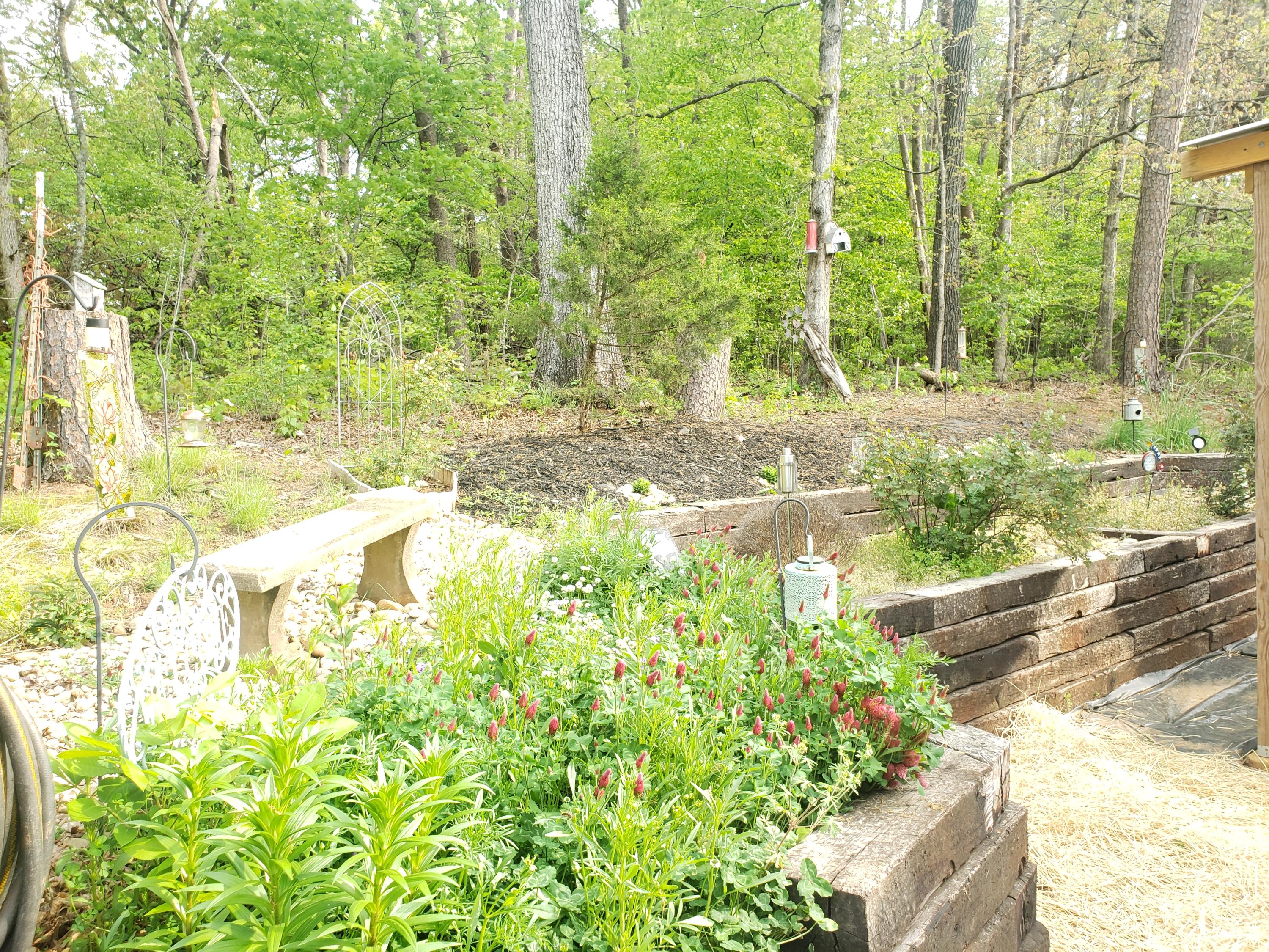 3023 Devault Road Louisville, TN 37777 - Photo 7 of 29 20210429_091234
