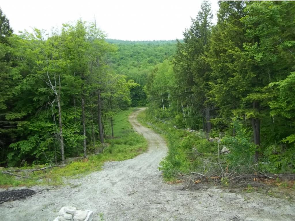 11 Weymouth Pond Road Stoneham, ME 04231 - Photo 11 of 12 Gallery Image 11