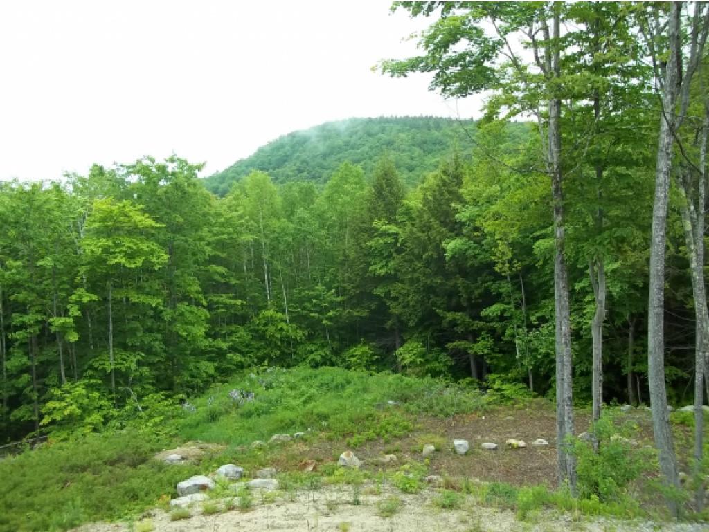 11 Weymouth Pond Road Stoneham, ME 04231 - Photo 8 of 12 Gallery Image 8