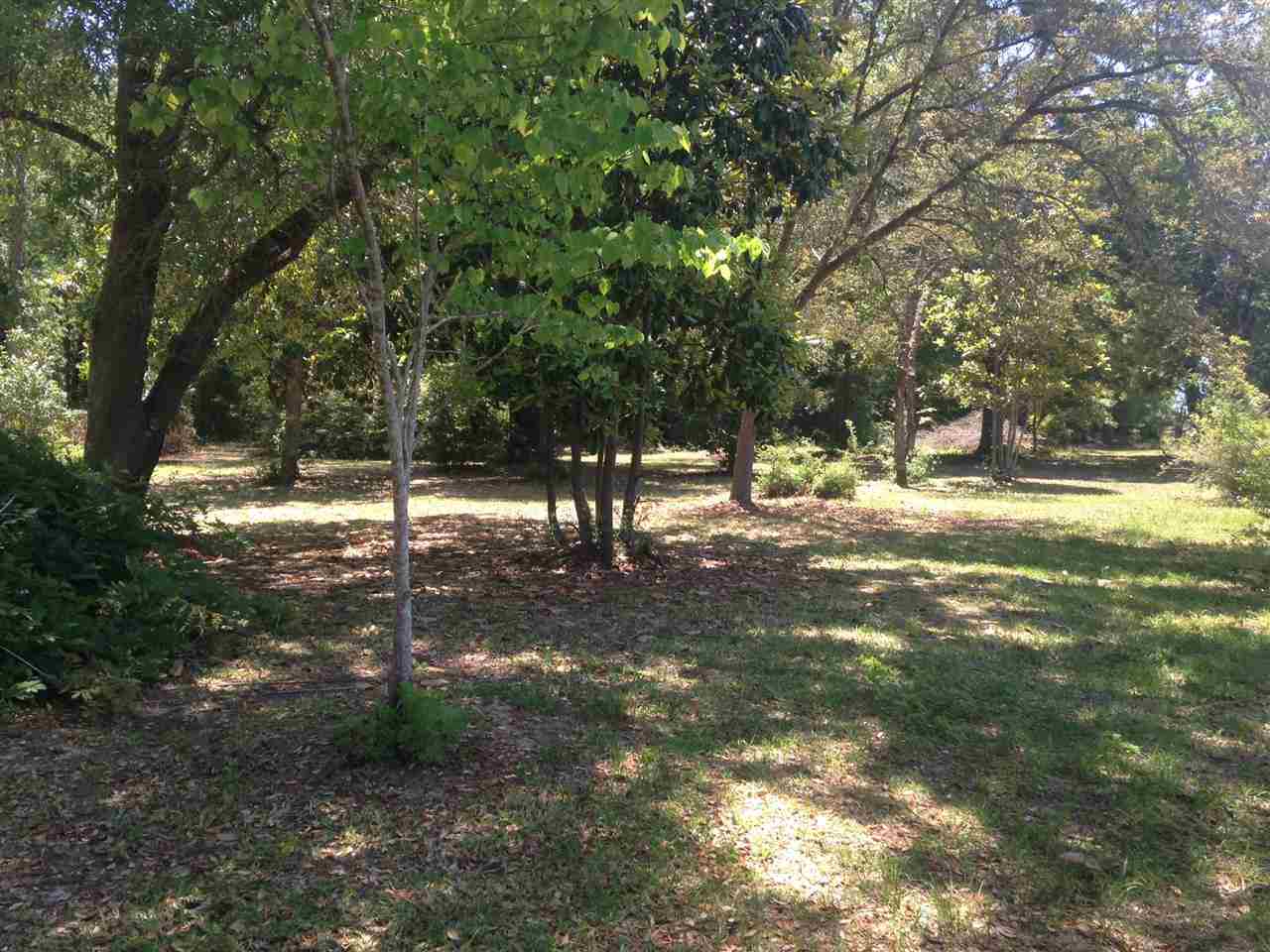6374 Billoree Road Pace, FL 32571 - Photo 7 of 46 Gallery Image 7