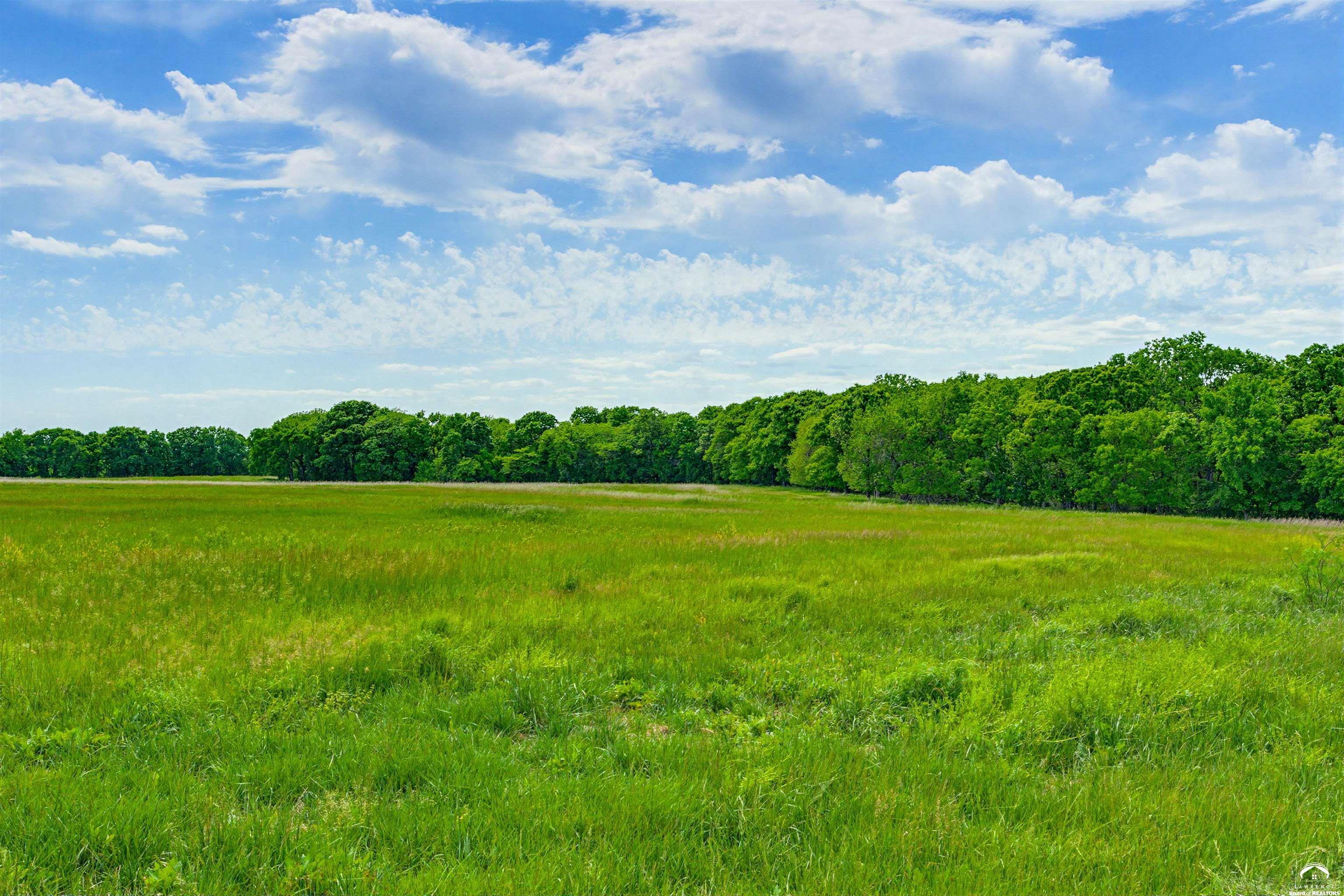 240 Acres M/l North 750th Road Overbrook, KS 66524 - Photo 12 of 29