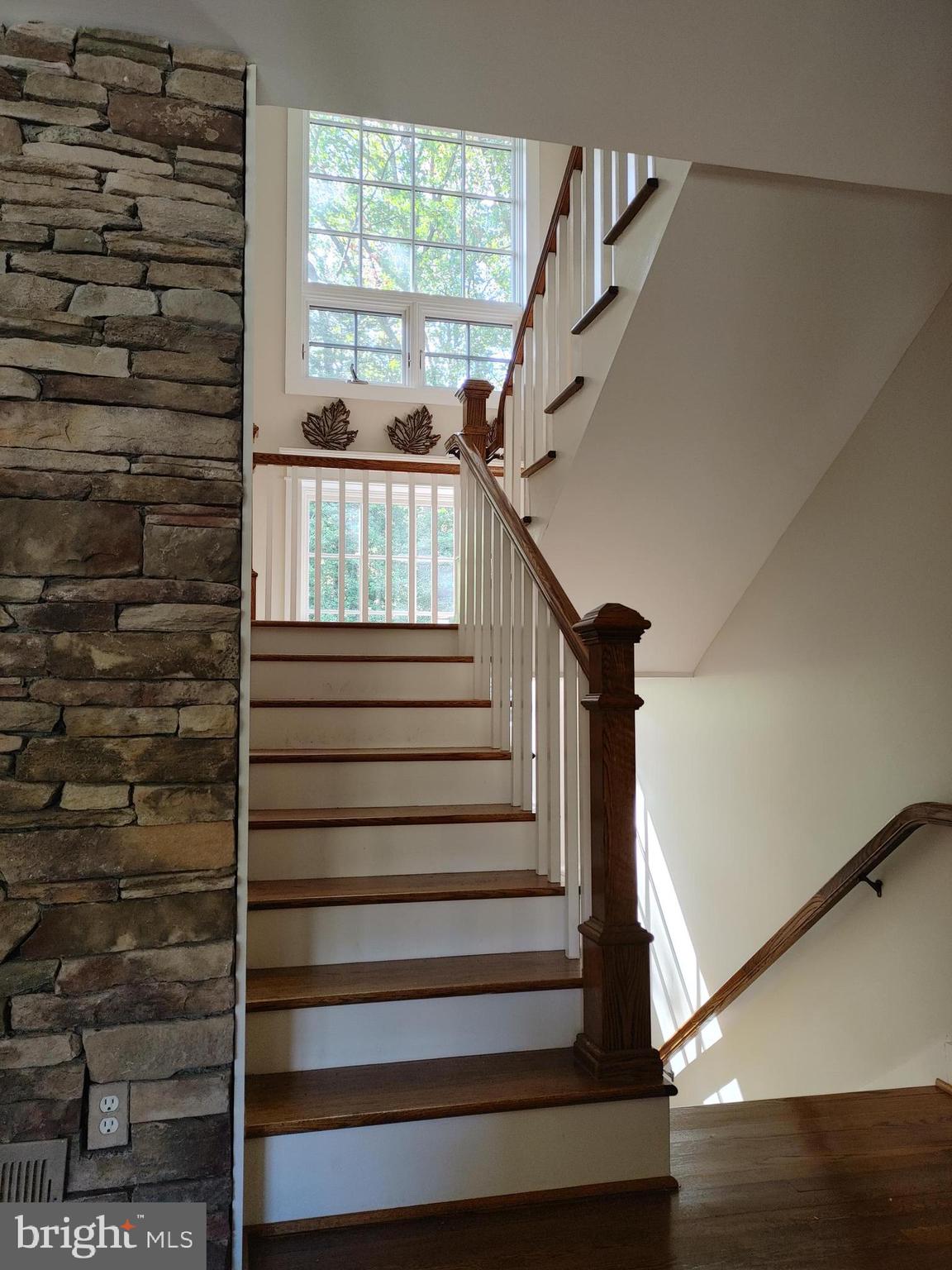 1925 Pagebrook Road Silver Spring, MD 20903 - Photo 22 of 45