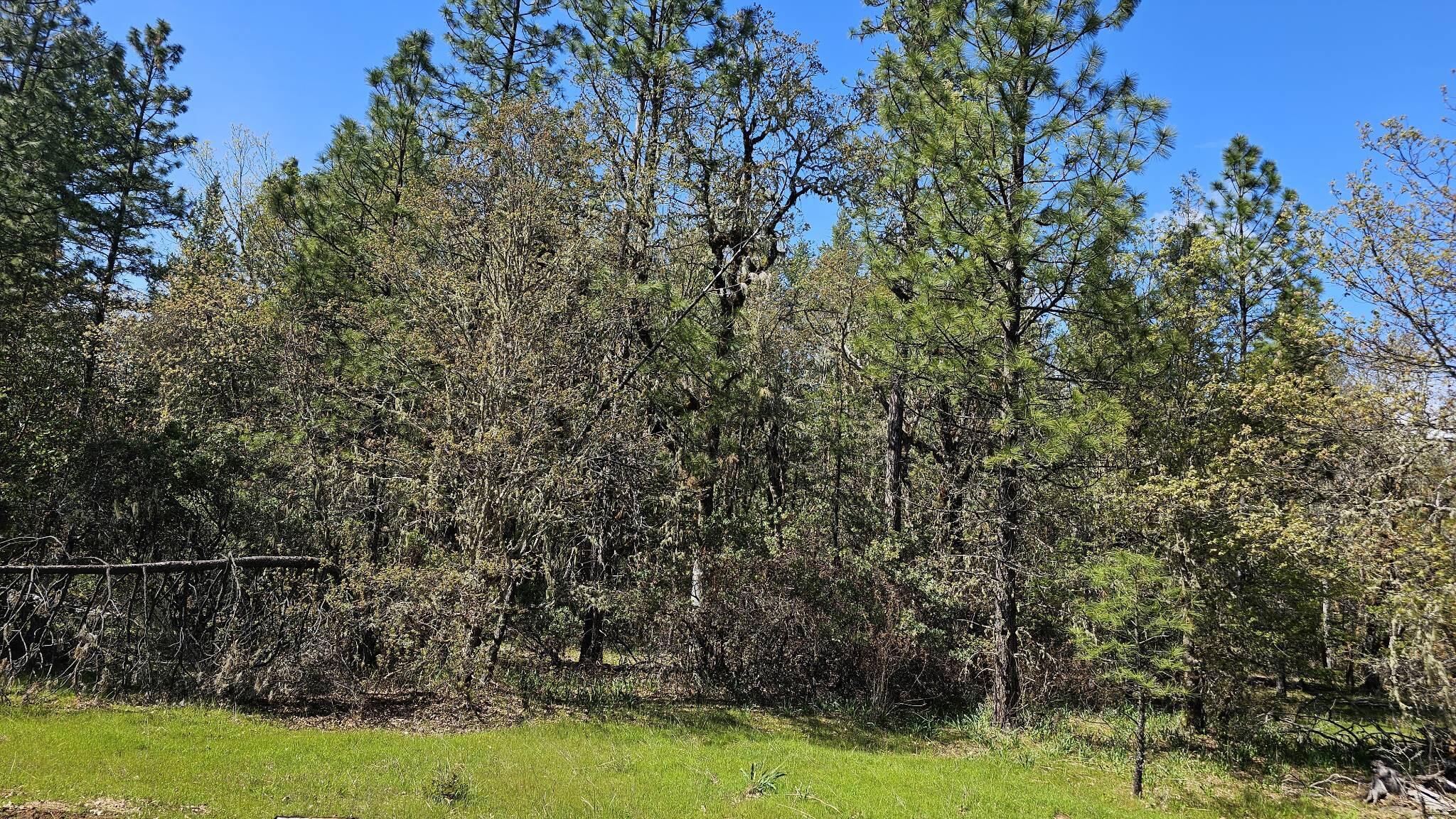 109 Garner Road Cave Junction, OR 97523 - Photo 1 of 4 garner 1