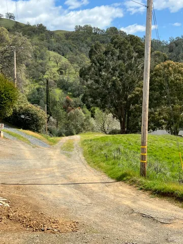 a view of a yard with potted plants