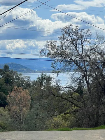 a view of a dry yard with trees