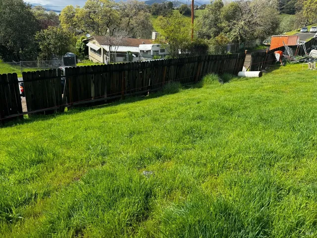 a view of a backyard with a garden and entertaining space