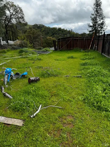 a backyard of a house with lots of green space and garden