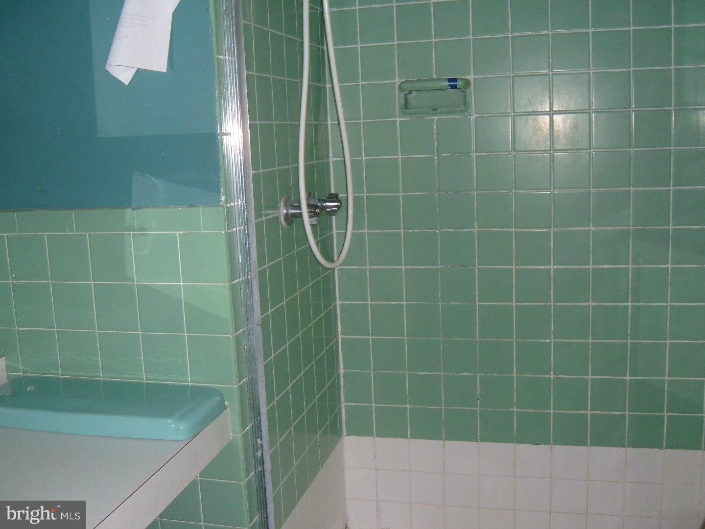 114 Scrapetown Road Pemberton, NJ 08068 - Photo 8 of 23 a bathroom with a shower