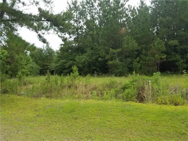 $46,900 | 82397 Bush Vineyard Lane, Bush, LA 70431