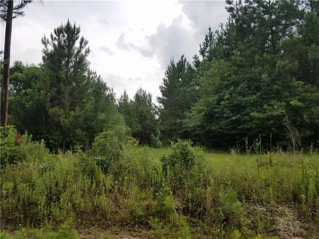 82397 Bush Vineyard Lane Bush, LA 70431 - Photo 2 of 8