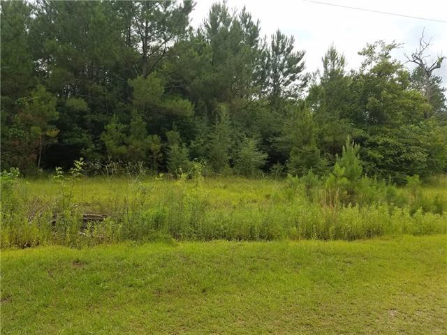 82397 Bush Vineyard Lane Bush, LA 70431 - Photo 3 of 8