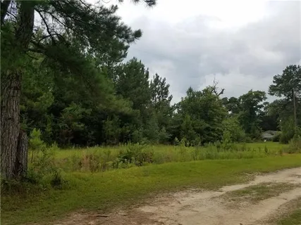 $46,900 | 82397 Bush Vineyard Lane, Bush, LA 70431