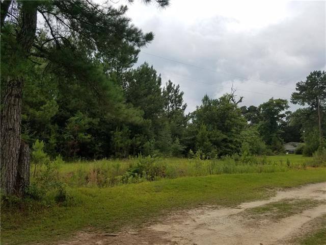 82397 Bush Vineyard Lane Bush, LA 70431 - Photo 5 of 8