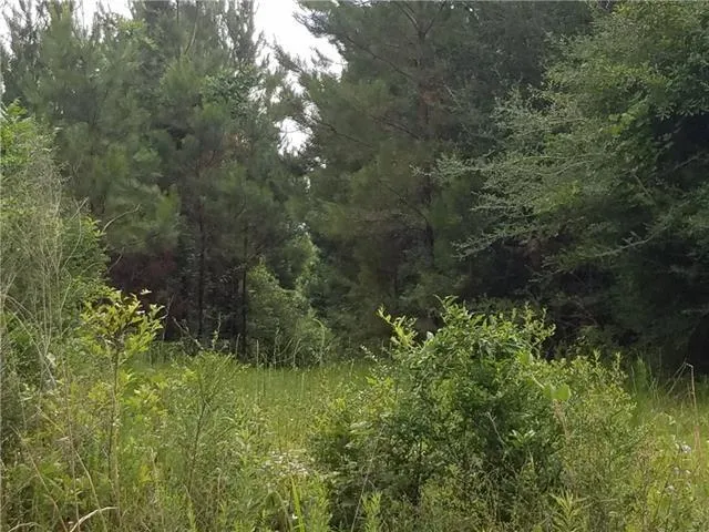 $46,900 | 82397 Bush Vineyard Lane, Bush, LA 70431